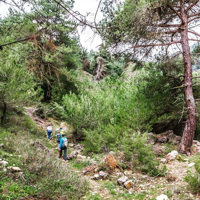 Aandeqt,... (`Akkar, Liban-Nord, Lebanon)