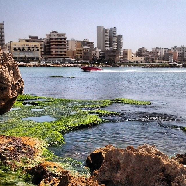 Abed El Wahhab island.... Tripoli! island  nature  TripoliLB ...