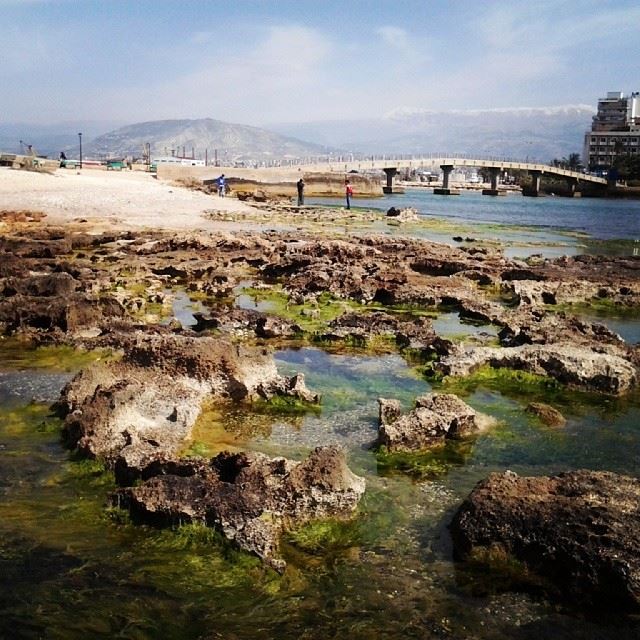 Abed El Wahhab island.... Tripoli! island  nature  TripoliLB ...