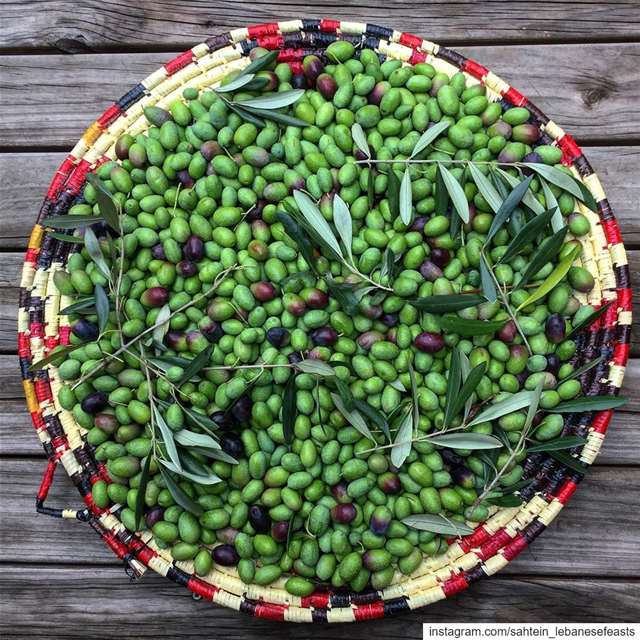 About 30 years ago or so, my dear mother bought an olive grove in Bsarma,...