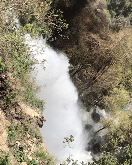 About today's event. Hiking in batroun, naher el jawz. ...