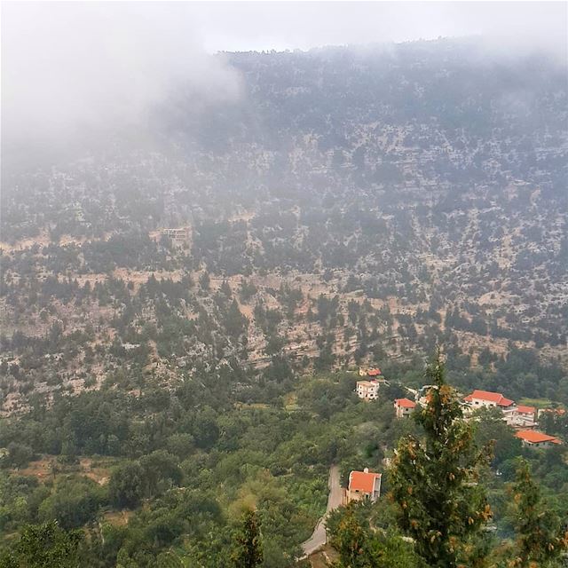 Above the clouds 💚🏡 (Bouhaïret Toûla, Liban-Nord, Lebanon)