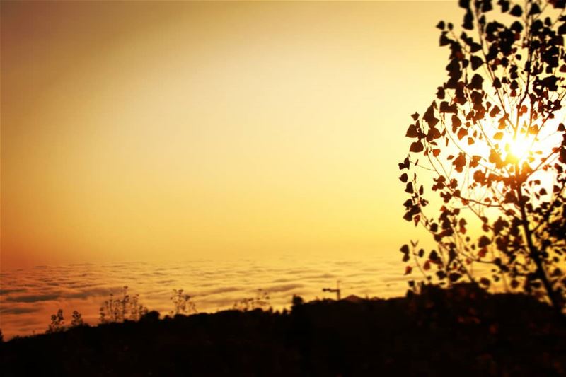 Above the clouds.  lebanon  photography  nature  sunset  clouds ... (Lebanon)