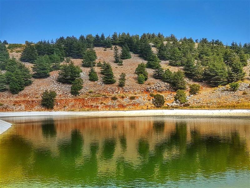 Adopt the pace of nature: her secret is patience.Ralph Waldo Emerson ... (Al Shouf Cedar Nature Reserve)