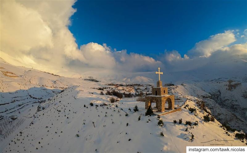 After the storm everything looks spectacular.This picture was taken last... (The Cedars of Lebanon)