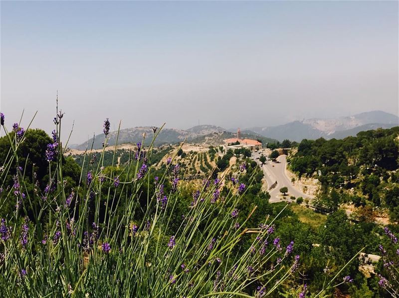 Afternoon blessing• (Annâya, Mont-Liban, Lebanon)