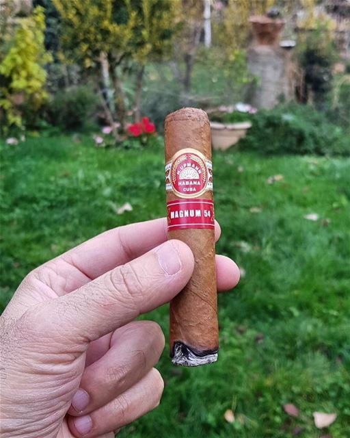 Afternoon therapy. afternoonbreak break cigar cigars hupmanncigars... (Zahlé, Lebanon)