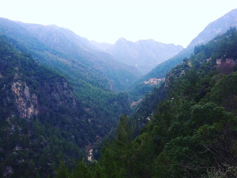 Afternoons are the best in  JabalMoussa ! livelovejabalmoussa ... (Jabal Moussa)
