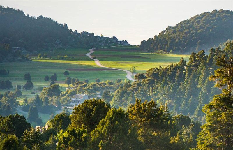 Akkar highlands  lebanon  vsco ... (`Akkar, Liban-Nord, Lebanon)