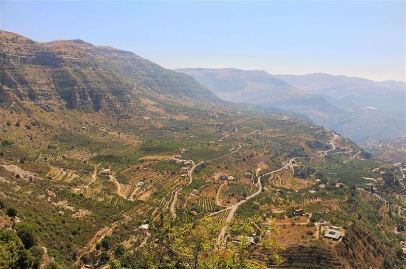 All green, everywhere 🌳🌱... (Akoura, Mont-Liban, Lebanon)