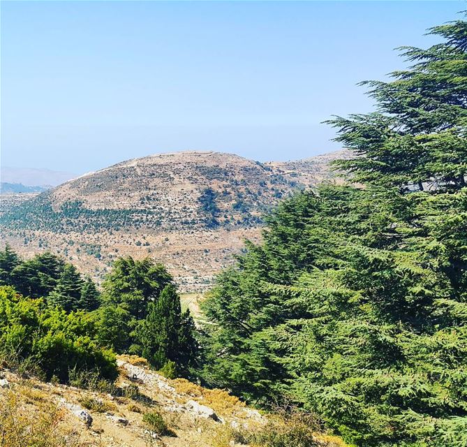 All those hours exploring the great outdoors made me more resilient and... (Karm el Mohr, North Lebanon)