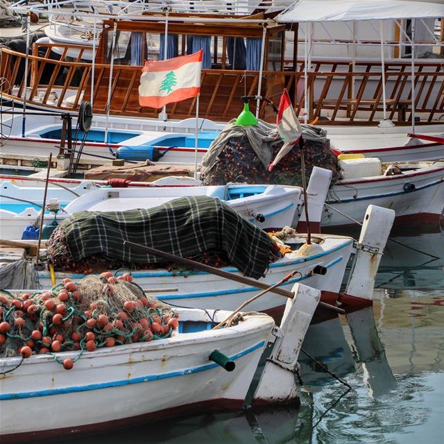 Almina Tyre...🇱🇧 lebanon  lebanon_hdr  ig_lebanon  insta_lebanon ... (Tyre, Lebanon)