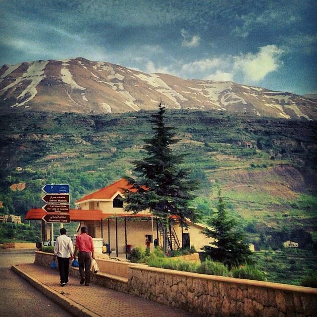 Alpine Ambles  cedars  afternoon  mountain  landscapes  thecedars  hasroun...