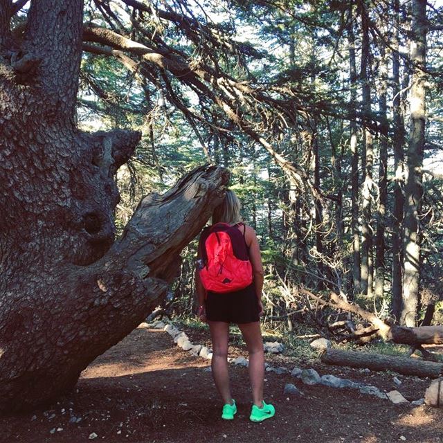 Always searching for Blue Skies ... discoveringlebanon ... lucyinlebanon 💚 (Al Shouf Cedar Nature Reserve)