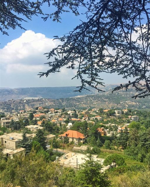 Always take the scenic... (Lebanon)
