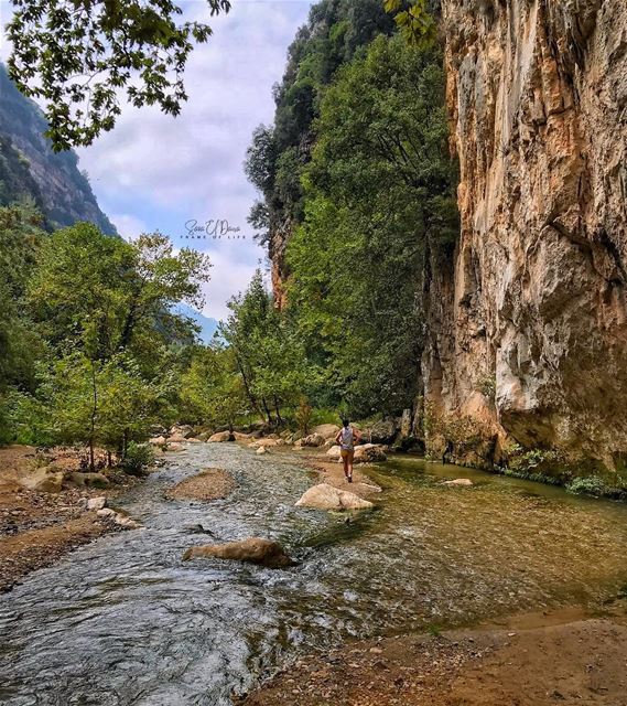 Always take the scenic route🏃🏽‍♀️🌲 (Yahshush, Mont-Liban, Lebanon)