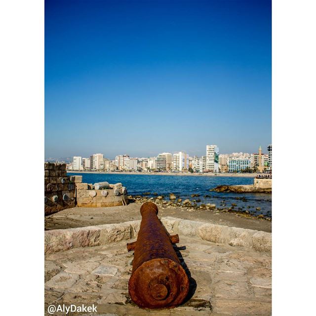 "Am too insane to explain, and you are too normal to understand". -... (Sidon Sea Castle)