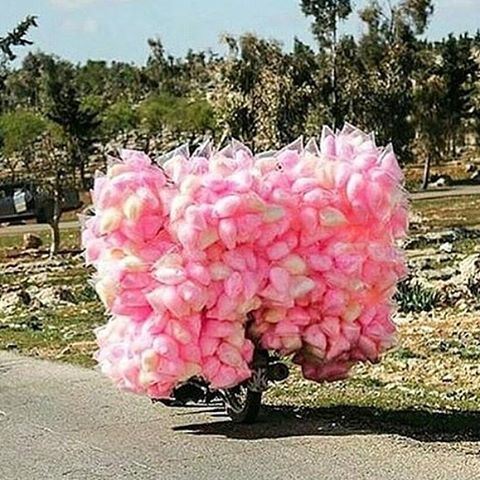 Amazing Sites around every corner 😍😍😍💗💗💗💗 cottoncandy