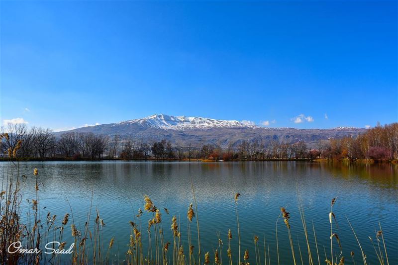 Amazing view and place  taanayel  beqaa  lebanon  lake  reflection  nature... (Taanayel Lake)