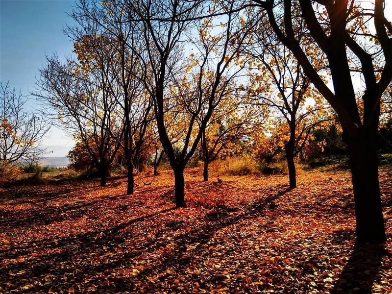  amazing  view by @firassafwan hermel  hermel_city  bekaa ... (El Hermel, Béqaa, Lebanon)