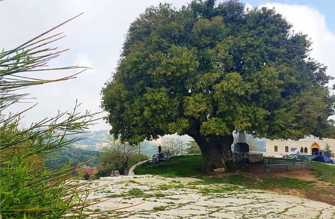 Amazing view from  annaya Photo by @christelpkhoury Share the beauty of ... (St Charbel Aanaya)