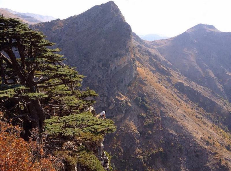 Amazing view from  Tannourine Photo by @leczenatti Share the beauty of ... (Tannourine Cedars Nature Reserve)