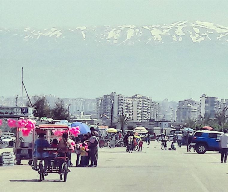 Amazing view 💕 Tripoli  TripoliLB  Lebanon  Lebanese  Mediterranean ... (طرابلس - الميناء)