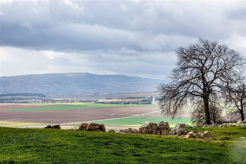 Ammiq . . . . . . . . . __________________________________________... (`Ammiq, Béqaa, Lebanon)