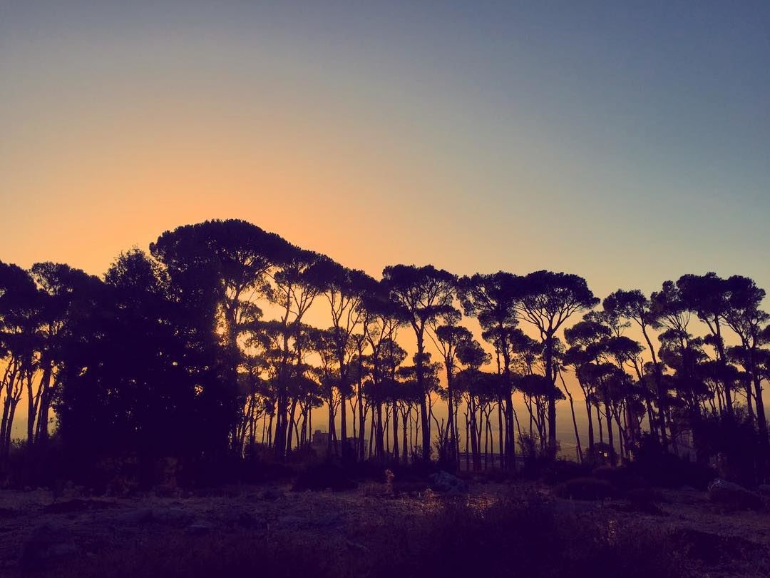 🌆 (`Ammiq, Béqaa, Lebanon)