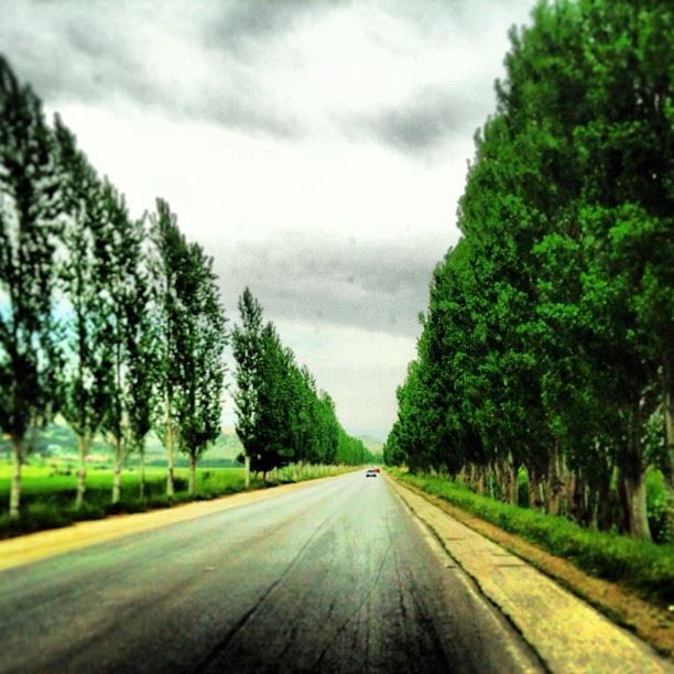 Ammiq  lebanon  bekaavalley  country  trees  roads ...