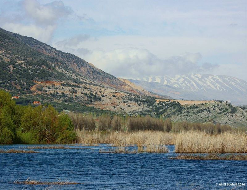  ammiq  nature  lake  mountains  bekaa  valley  green  colorful  snow ... (Ammiq - Bekka)