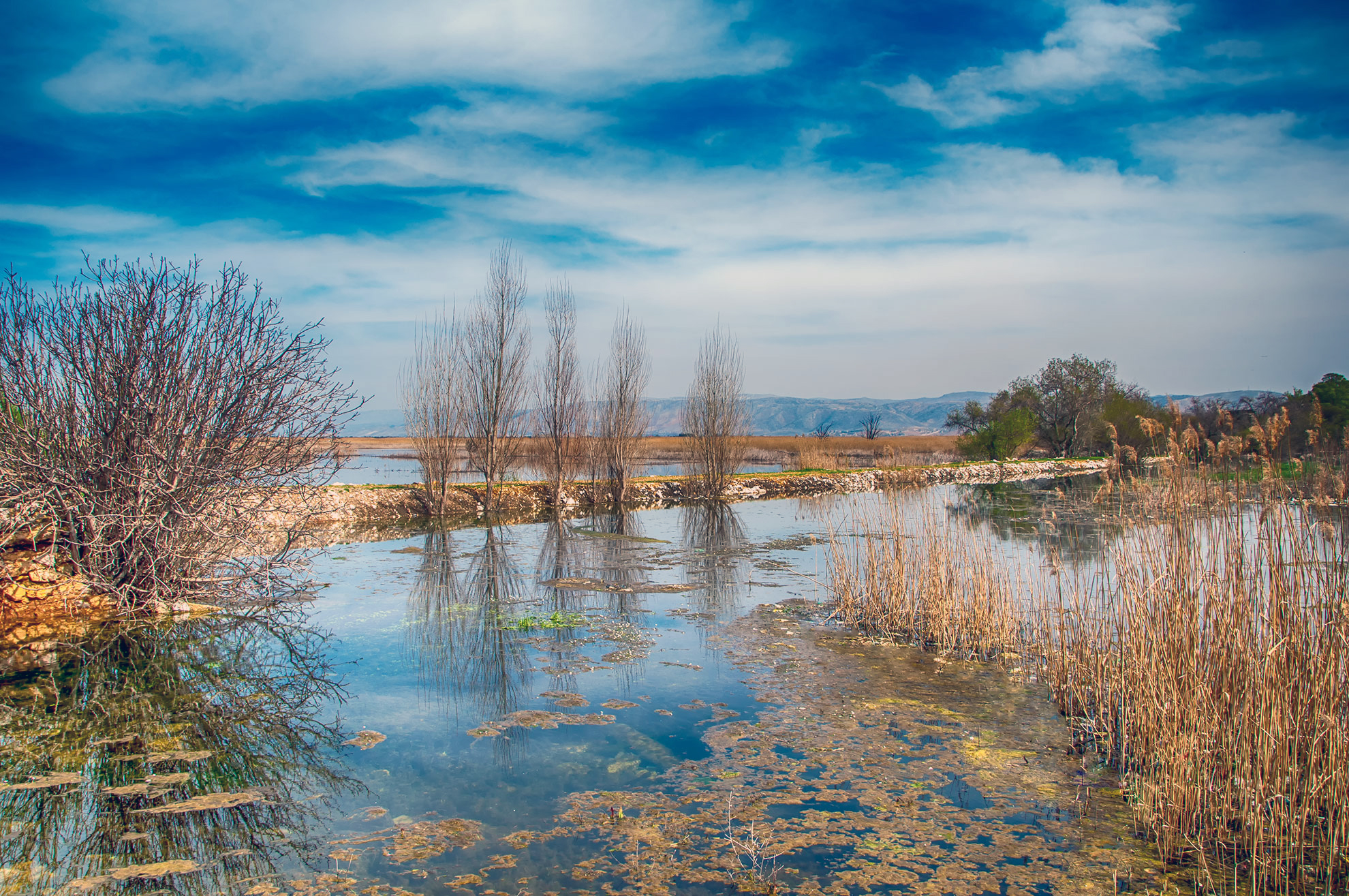 Ammiq Swamps with Beautiful Sky