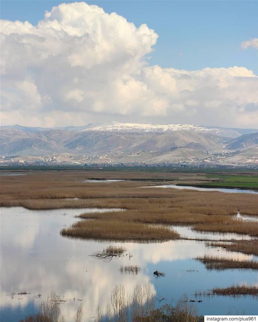 Ammiq Wetlands, a remnant of much more extensive marshes and lakes that... (Aammiq Wetland)