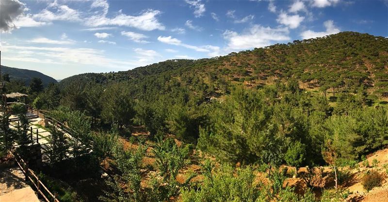 An ideal morning☀️ (Jezzîne, Al Janub, Lebanon)