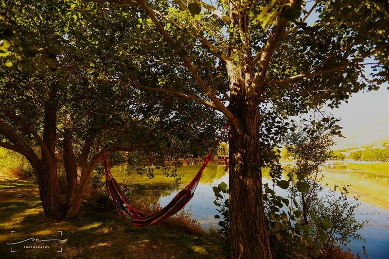 "An optimist is a man who plants two acorns and buys a hammock"- jean de... (عيون ارغش)