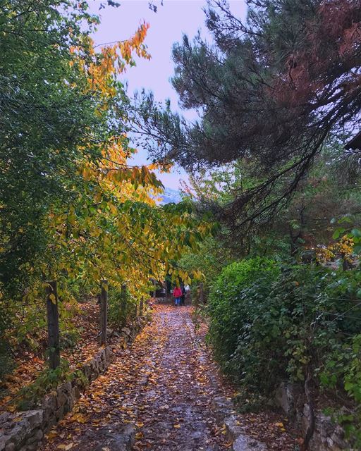 and autumn was... (Horsh Ehden)