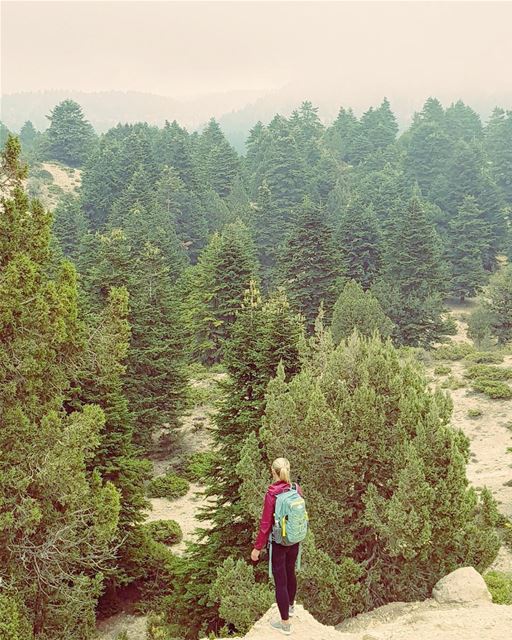 And forget not that the earth delights to feel your bare feet and the... (El Qâmoûaa, Mont-Liban, Lebanon)