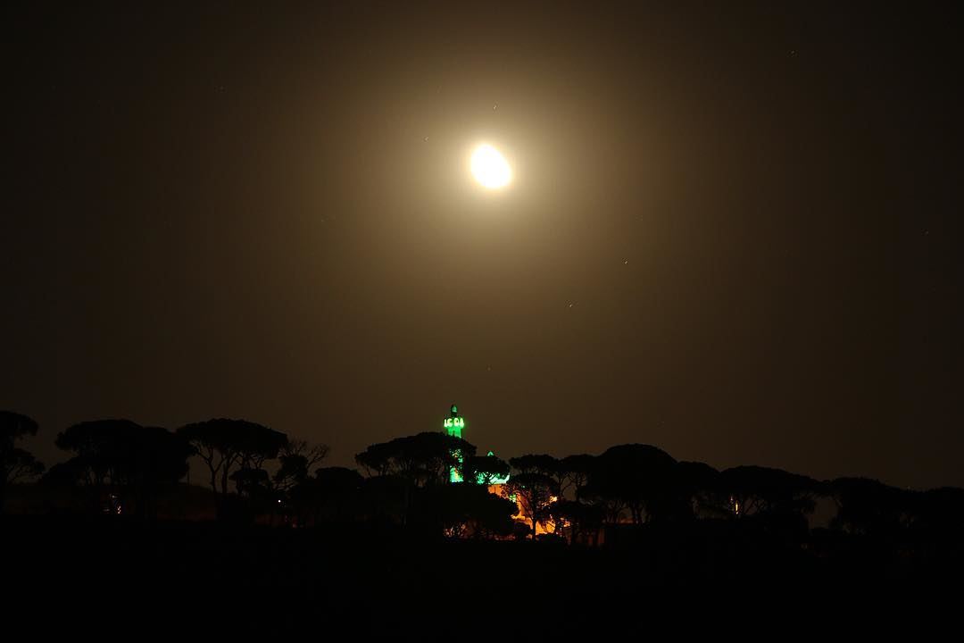 And if you are ever feeling lonely just look at the  moon... nature... (El Mahmoûdîyé)