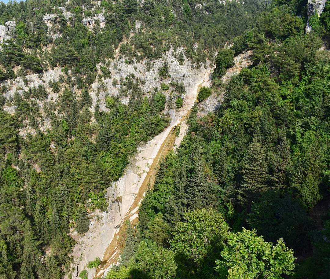 And Into The Forest I Go ... 🌲.. livelovelebanon  livelovebeirut ... (Mazraat Et Teffâh, Liban-Nord, Lebanon)