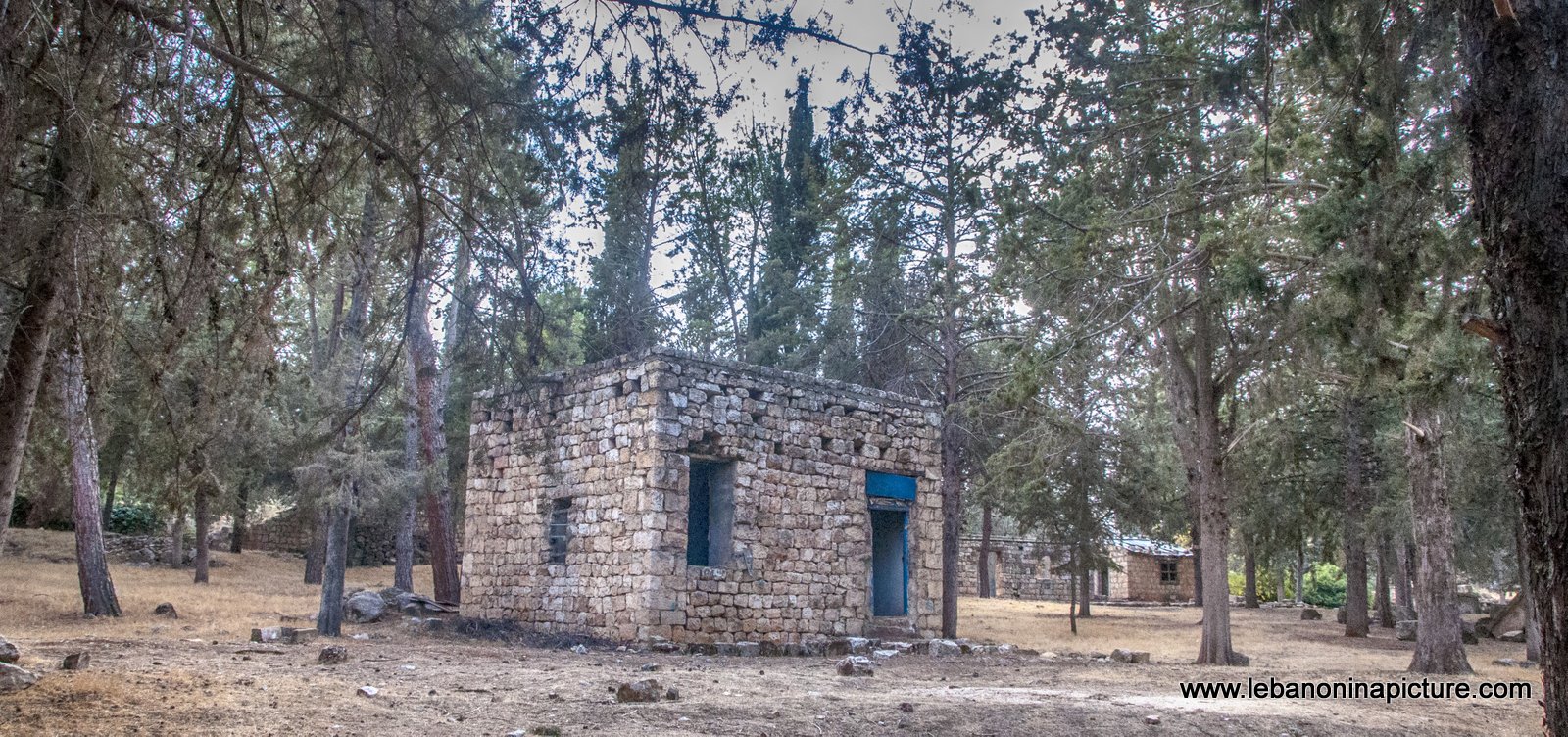 Anjar Ruins Bekaa Lebanon