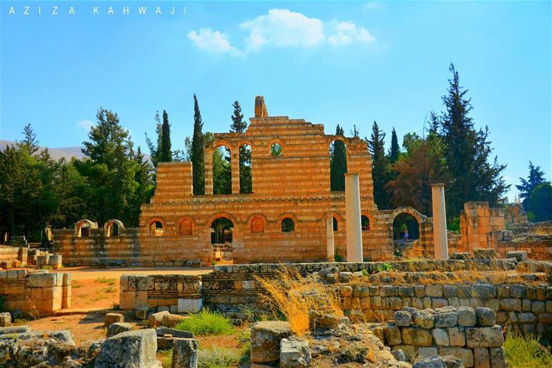 Anjar RuinsIt is well to think well; it is divine to act... (`Anjar, Béqaa, Lebanon)