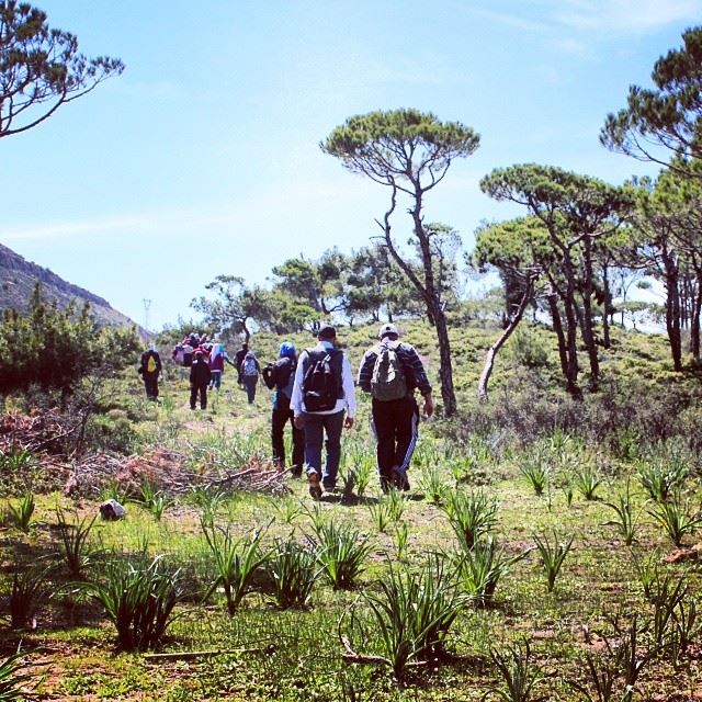 Another hiking day... the awesome lebanon  nature  forest  awesome  hiking...