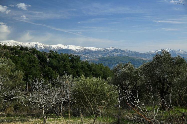 Anywhere you are in this country, the view is always amazing ❤ ... (Baakline, Mont-Liban, Lebanon)