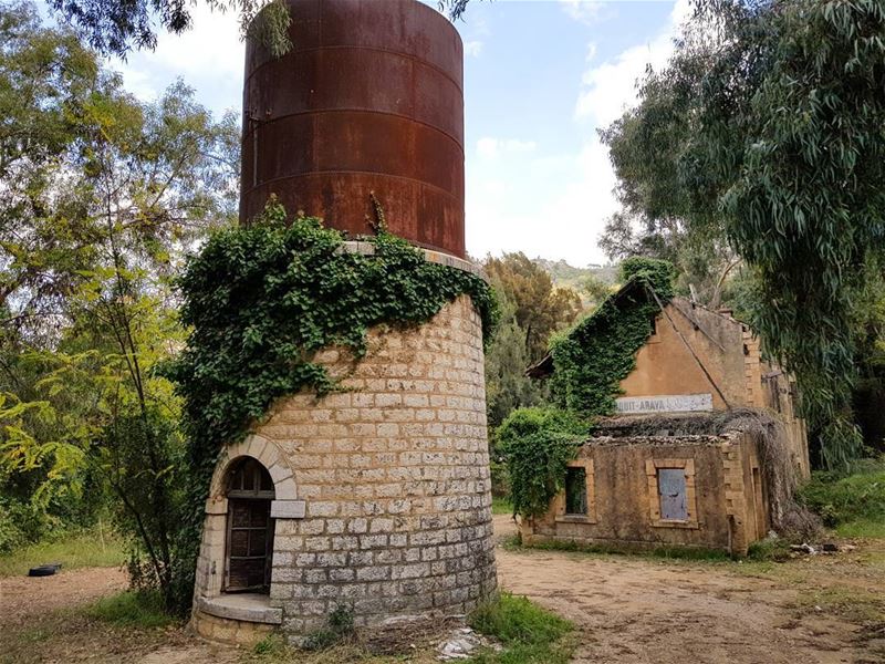 ... (Araya, Mont-Liban, Lebanon)