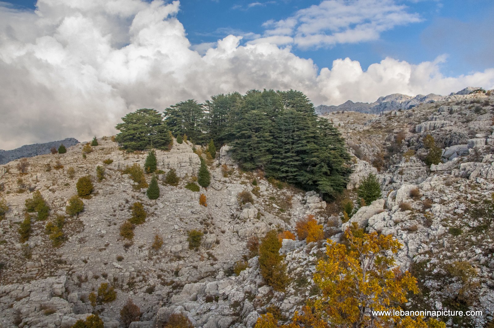 Arez El Rab Jaj - Mount Lebanon