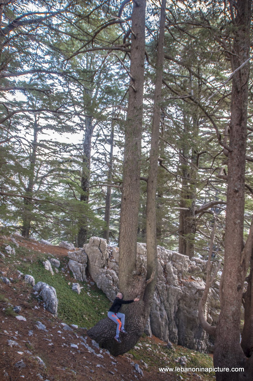 Arez El Rab Jaj - Mount Lebanon