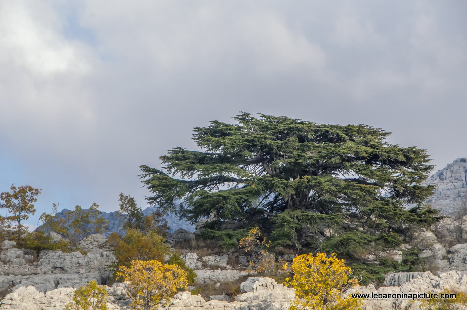 Arez El Rab Jaj - Mount Lebanon