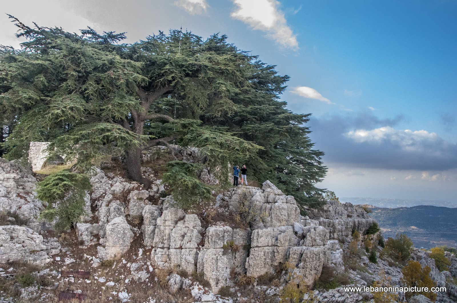 Arez El Rab Jaj - Mount Lebanon