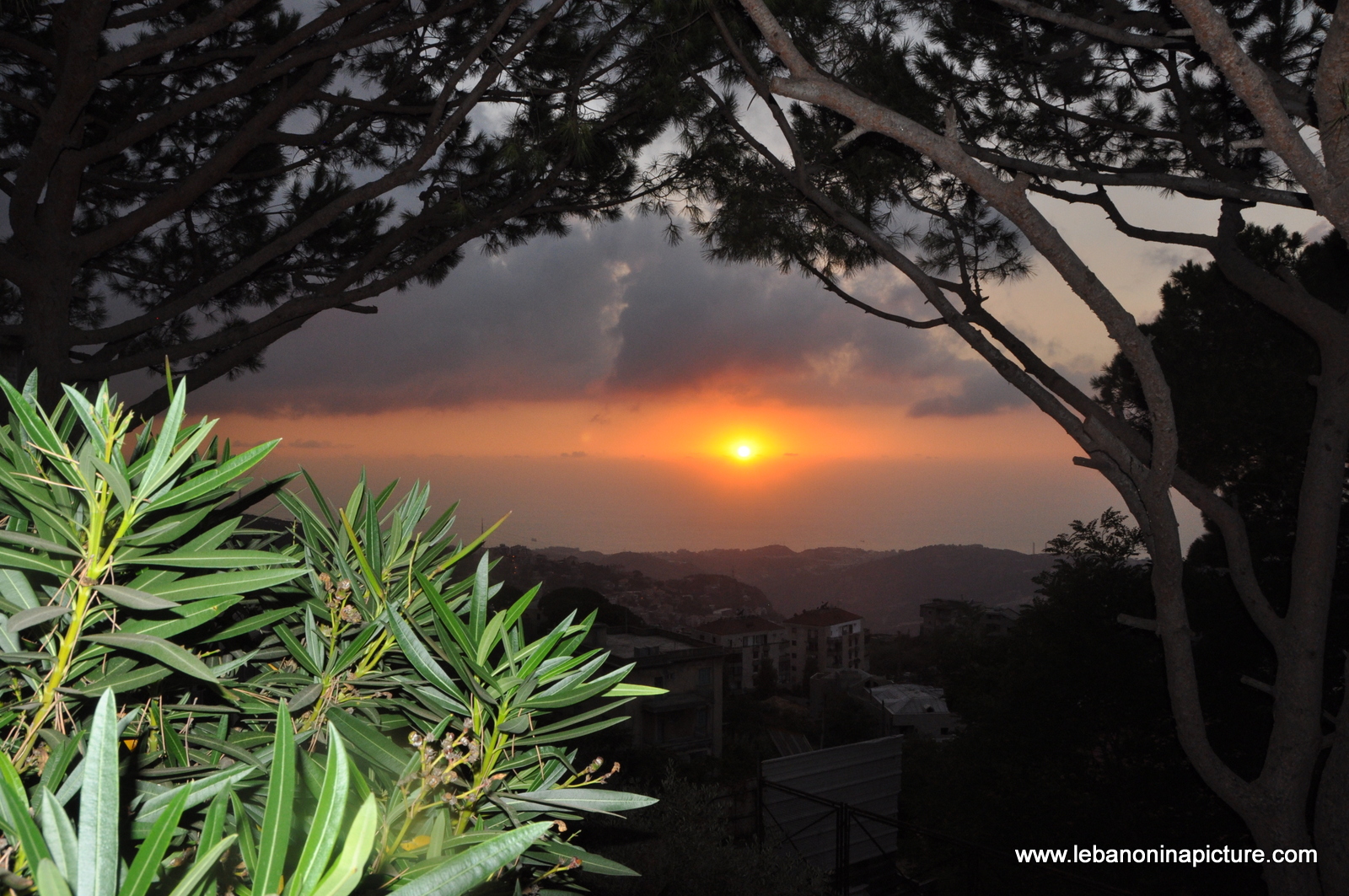 Around the World in Beit Chabeb