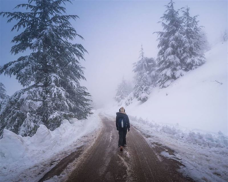 Arriving to Barouk after a snowstorm ... (Arz el Bâroûk)